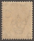 Edsroom-21919 Cayman Islands 31 Mnh 1908
