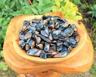 1 2 Lb Bulk Lot Blue Tiger Eye Tumbled Stone Crystal Healing Reiki 8 Oz