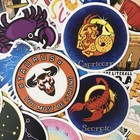 50pc Horoscope Astrology Zodiac Signs Metaphysical Spirit Art Decal Sticker Set