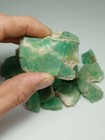Chrysoprase Rough Australia 261 Grams