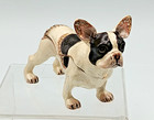 Pied French Bulldog Enamel   Crystal Hinged Trinket Box figurine jeweled