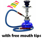 Pumpkin Hookah Single 1 Hose Smoking Nargila Glass Water Pipe Set W  Free Tips