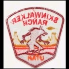 Rare Collectible Skinwalker Ranch Utah Patch
