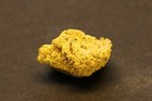 Gold Specimen Crystalline Gold  1 6 Grams  Krum Hills  Pershing Co  Nv
