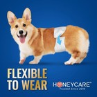 50 Pack Waist Disposable Dog Diapers Male Wraps Belly Bands Pet Soft small Size 