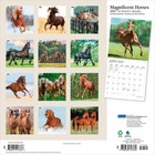 Magnificent Horses   2027 12x24   hanging  Monthly Square Wall Calendar