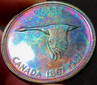 1967 Canada Silver Dollar  Monster Rainbow Color Toned Goose
