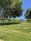 Rose Hills Memorial Park Whittier Ca 3 Side-by-side Single Cemetery Burial Plots