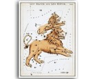 Leo Constellation Map Star Chart Art Horoscope Vintage Zodiac Print