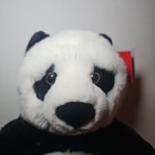 Fao 2015 Panda Bear 16  Sitting Mint Condition Nwt Plush