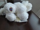 Ganz Webkinz Husky Plush Grey White Dog Stuffed Animal New With Sealed Code