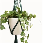 Make Market Macrame Hanging Basket Starter Craft Kit Diy Dona Bela Shreds Green
