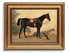 Gold Wall Art Vintage Horse And Dog Canvas Art 8 x10  Horse And Dog Framed