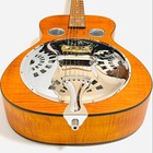 Epiphone Dobro Hound Dog Deluxe Round Neck Resonator Guitar Fishman Pu