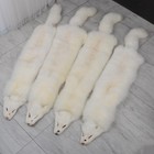 Tanned White Fox Hide Fur Pelt Crafts Fox Skin Fur Taxidermy Decor Graded 1 Q   