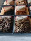 Apothecary Dried Herbal Specimen Medicine Kit 1900s Case Oddity Science Vintage 