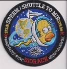 Nasa Patch -    shuttle To Mir Homer Simpson    Sts-81 sts-84 Sperm Mission - 3 5   