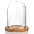 Glass Dome Display Case With Wooden Base  Clear  5 5  X 3 9  Cloche