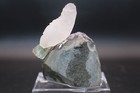 Peter Muller Hand Carved Quartz   Fluorite Toucan On Amethyst Base 3  Tall