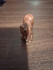 Miniture Squirrel Figurine 1 3 4 Inches Tall