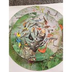 Vintage Springbok Circular Jigsaw Puzzle Familiar Birds 6039 William Dilger 500