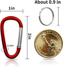 30pcs Aluminum Carabiner Clips  2  D Shape Spring Snap Hooks Carabiner With 30pc