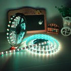16 4ft Rgb Led Strip Light Waterproof 300 Leds 5050 Smd Tape Rope Lighting Dc12v