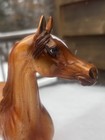 Peter Stone Glossy Orange Roan Arabian Model Horse Pumpkin Pie Sr 175 2004