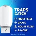 2 Flying Insect Traps 2 Cartridges Plug In Fly Trap Indoor Bug Catcher For Gnats
