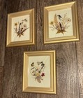 Vtg Trio Small Framed Dried Pressed Flowers Floral Glass Wall Art Decor Mcm