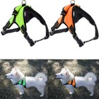Pet Dog Control Harness Padded Leash Walk Collar Safety Strap Training Vest