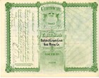 Colorado Stock Certificate- The Buffalo   Cripple Creek Gold Mining Company 1897
