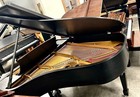 Steinway L Grand Piano 5 10 1 2  Satin