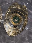 2- Special Police Badges Obsolete