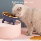  pet Bowl With Stand     Elevated Cat Dog Feeder Food   Water Dish Nordic Design 