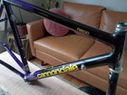 Cannondale R600 Frameset