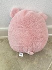 Squishmallows Fuzzamallows 12  Peter The Pig Plush Nwt Farm Animal Easter spring