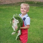 Large Frog Plush Toy Soft Stuffed Animal Huggable Cuddly Gift Kids Adults