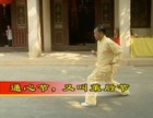 Dvd - Southern Shaolin Temple Boxing