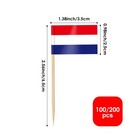 Ahfulife Netherlands Flag Toothpick Flags Picks  100 Pcs 100 