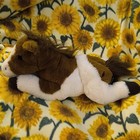 Fao Schwarz Plush Stuffed Horse  Brown   White  Small 6-14 In  2020