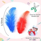 Colorful Real Rooster Feathers 300 Pcs 3-5 Inch Colored Feathers Craft