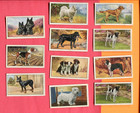 1936 Gallaher Ltd  Dogs 48 Different Tobacco Card Set Series 1