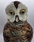 Rare Antique French Majolica Ceramic Owl On Book Chouette Tobacco Jar Humidor