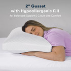 Sertapedic Chill Nites Cooling Balanced Support Pillow  Standard queen