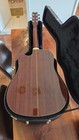 Washburn D10sce Dreadnought Acoustic - Electric Guitar - With Hard Case  read 