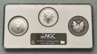 Silver American Eagle 20th Anniversary 3 Coin Set Ngc Ms69  Rev Proof Pf70  Pf70