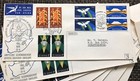 South Africa Fdc  Amptelike Gedenkkoeverta  1961 - 1966 Lot Of 9 First Day Cover