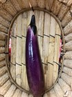 Artificial Fake Food Vegetable Eggplant Garden Farm Produce Display Prop Vep