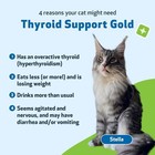 Pet Wellbeing Thyroid Support Gold For Cats 2 Oz 